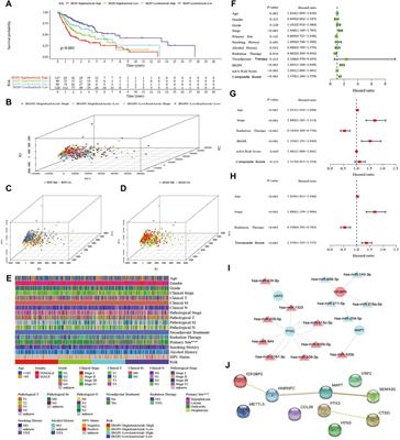 A composite score based on immune-related gene prognostic index and m6A risk score of head and neck squamous cell carcinoma